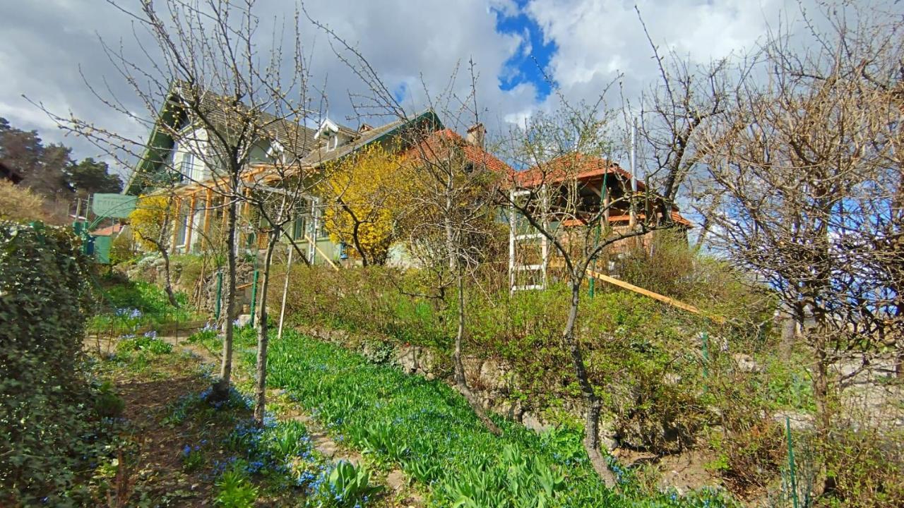 Villa Kuschmann Brașov Exterior foto