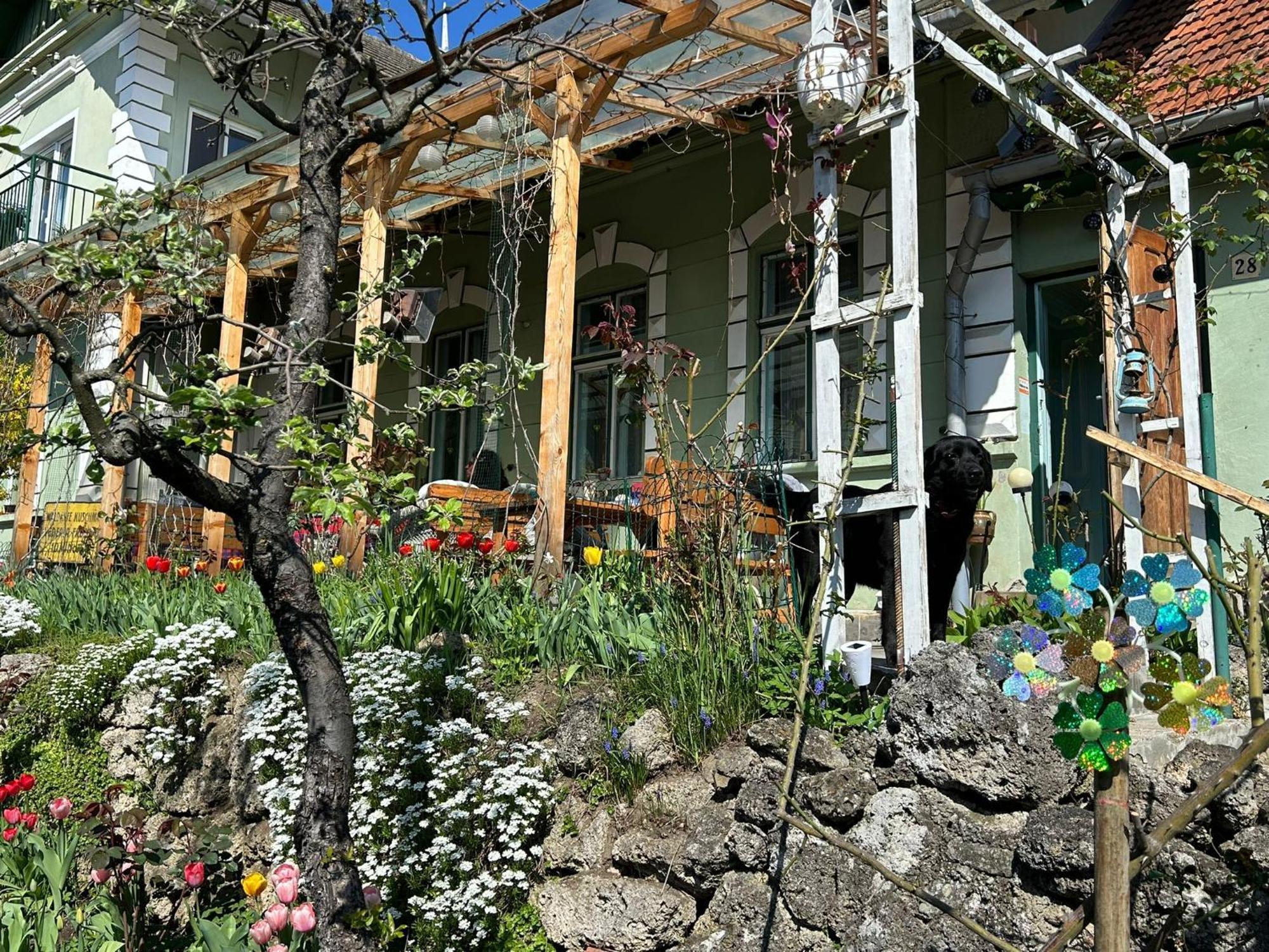 Villa Kuschmann Brașov Exterior foto